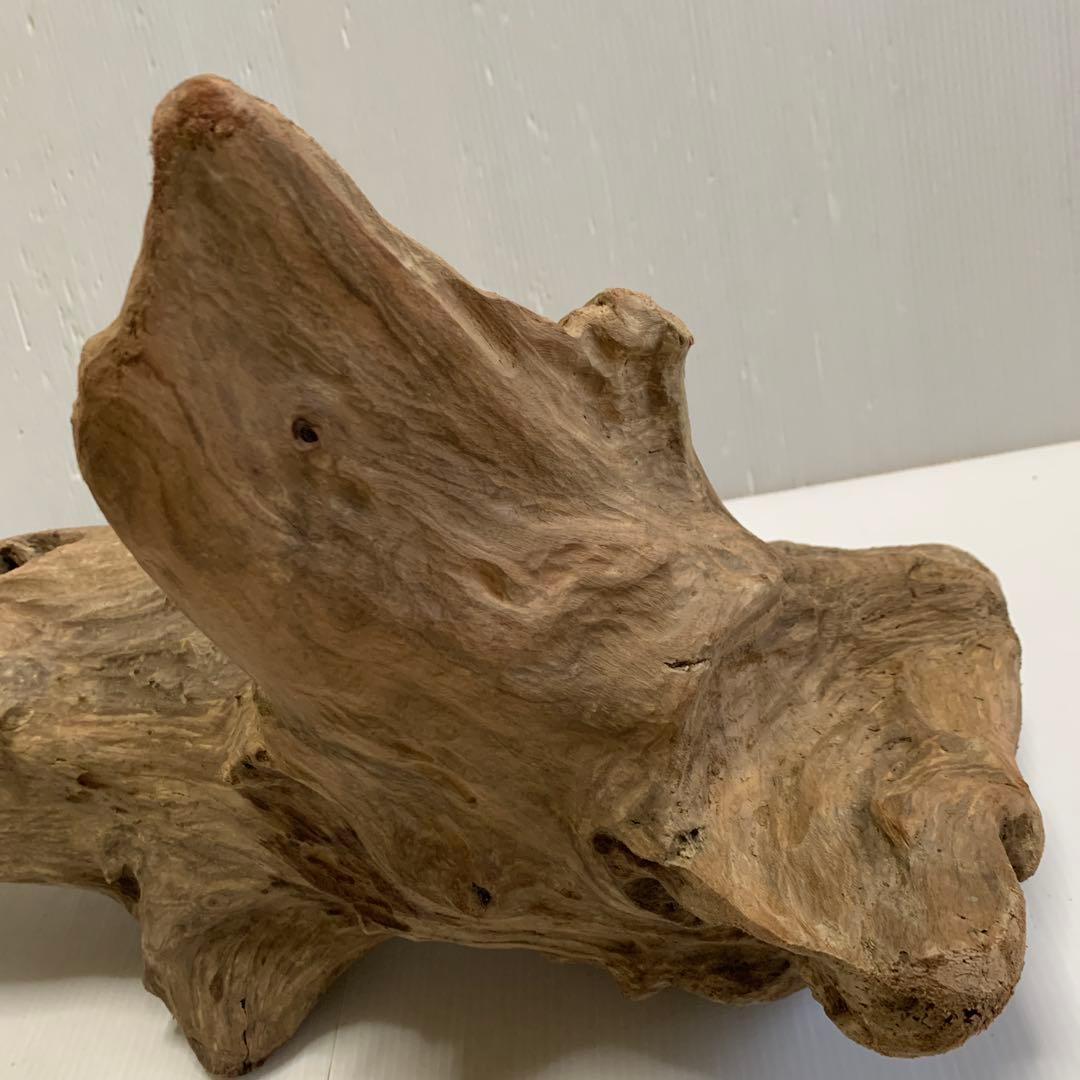 アク抜き済み流木　No.050 .039.031.239.393