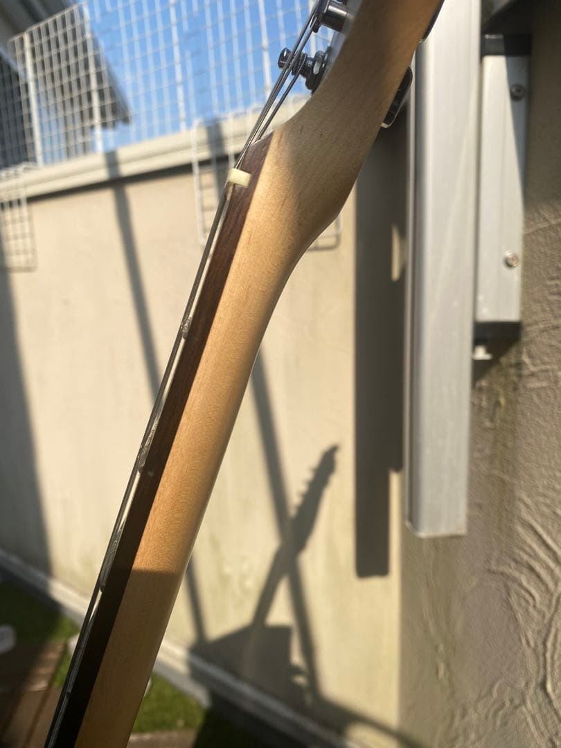 AXL GUITARS (ストラトキャスター タイプ)