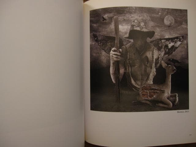 Marcin Owczarek - Paradise Lost　失楽園