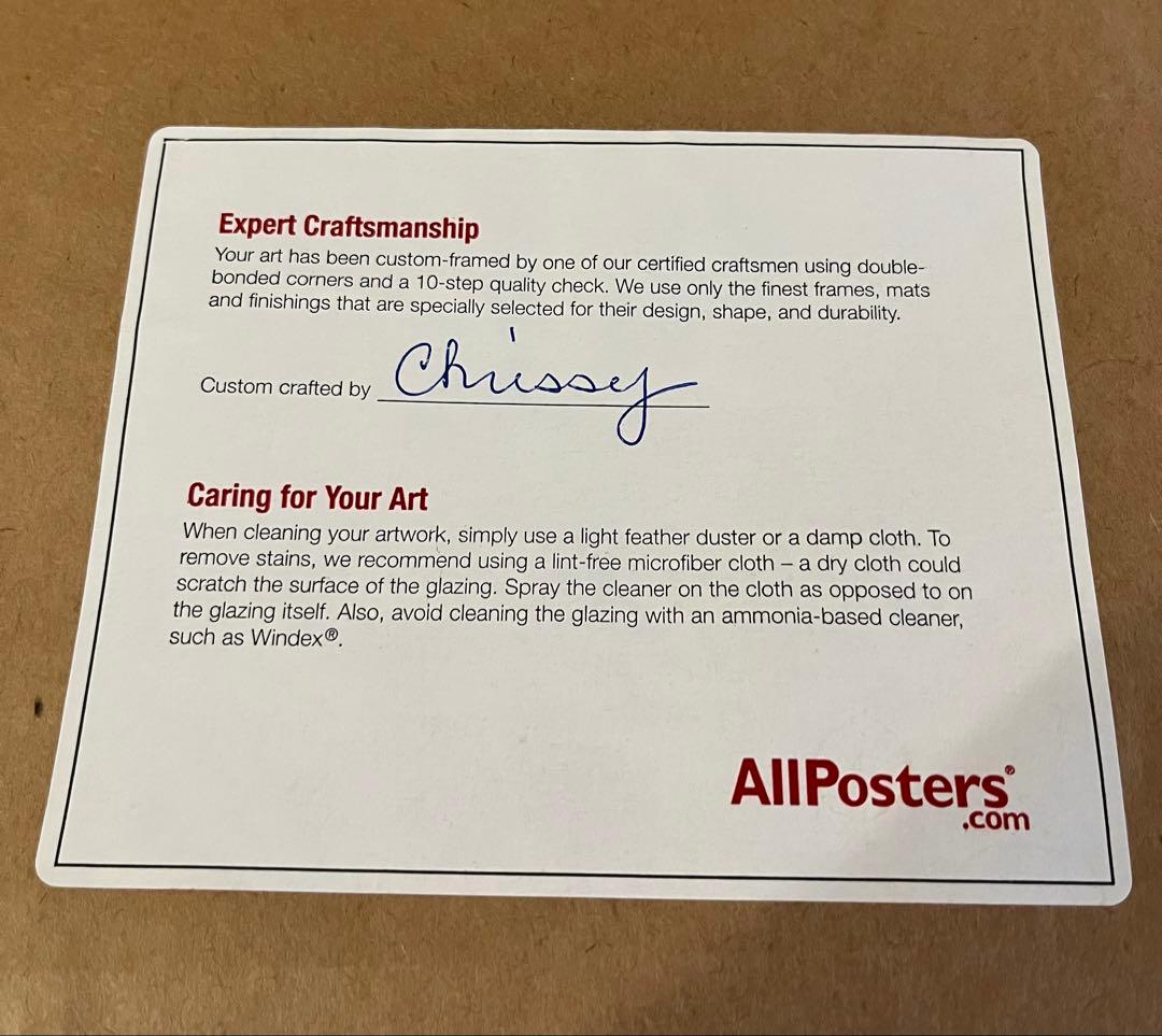 エゴン・シーレ Egon Schiele ポスター額付き