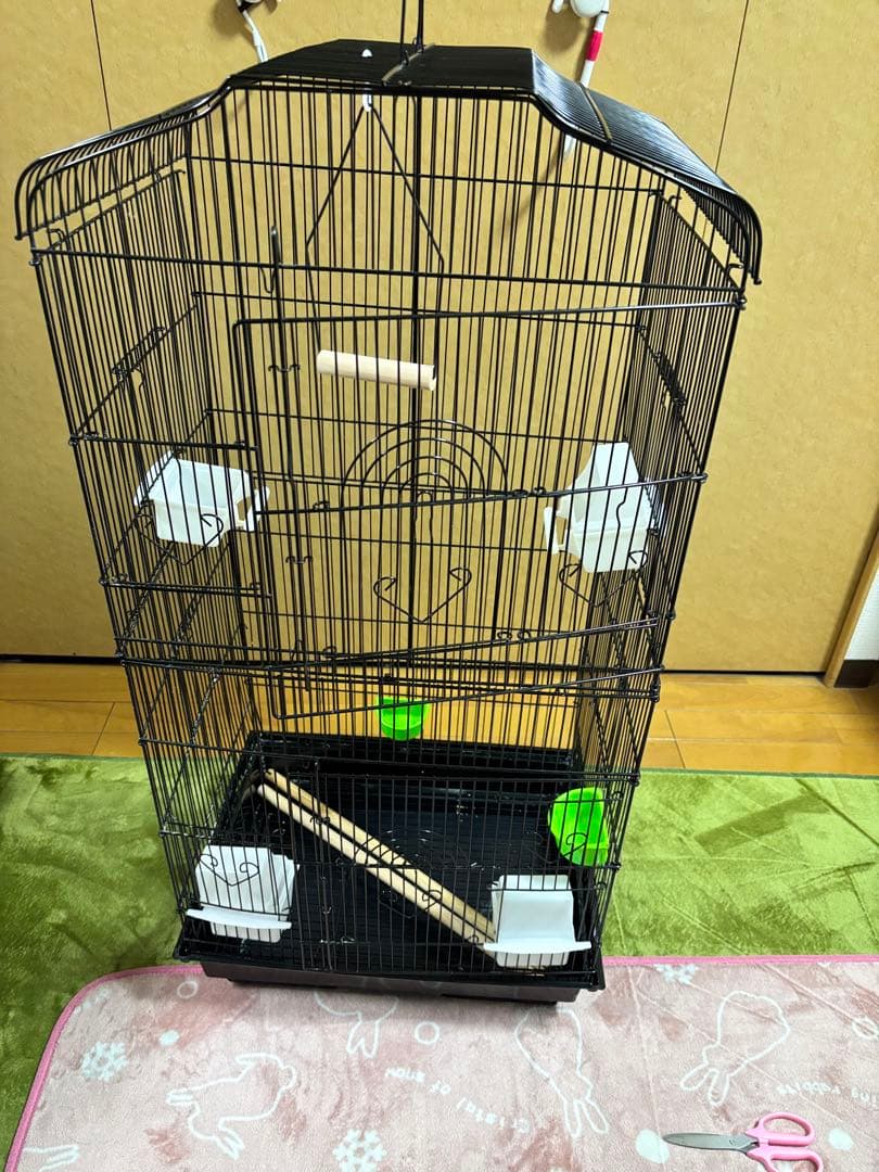 中型黒鳥かご、止まり木・餌入れ付き