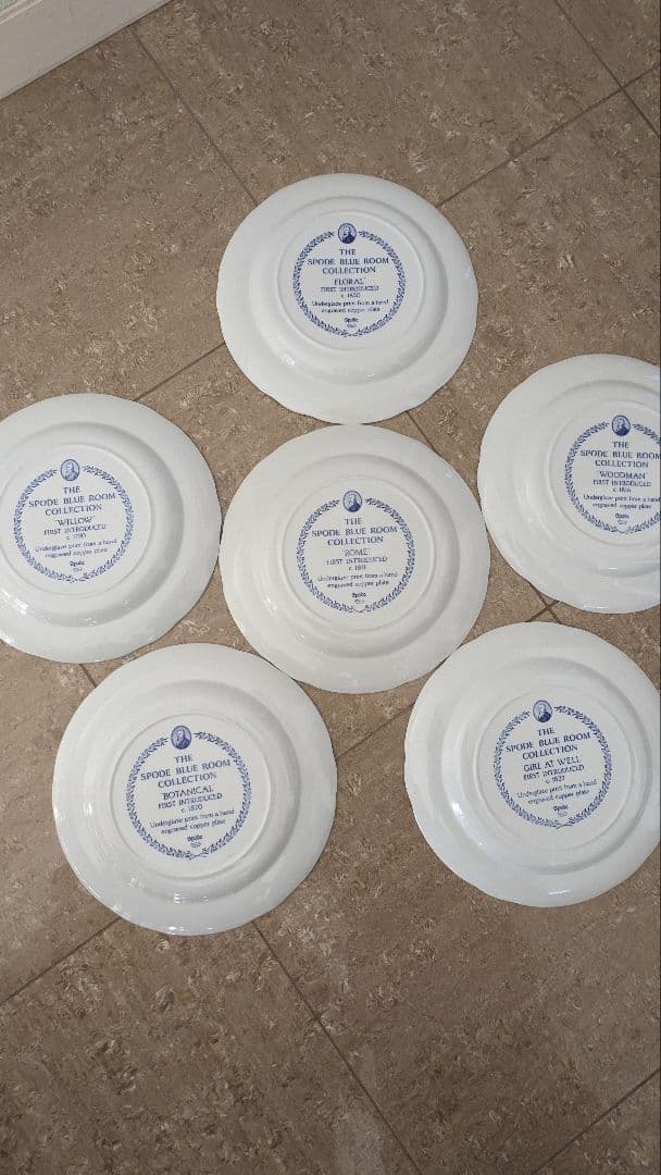 お値下げ！スポード ブルールームコレクション　26.5cm 　6枚セット　大皿