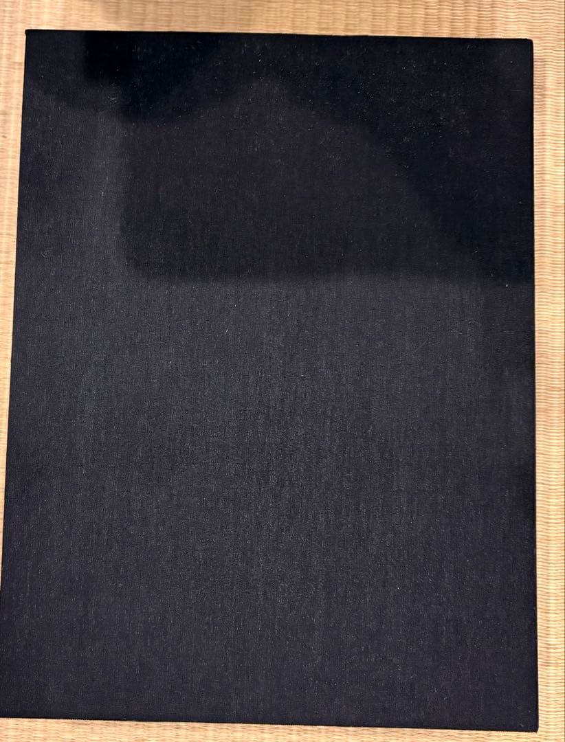 「ジ・アート・オブ・シン・ゴジラ」