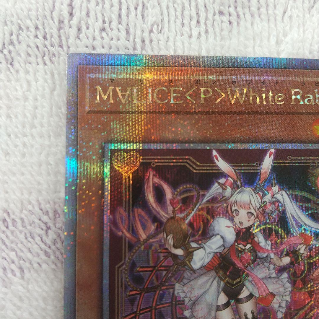 マリスポーンホワイトラビット25th