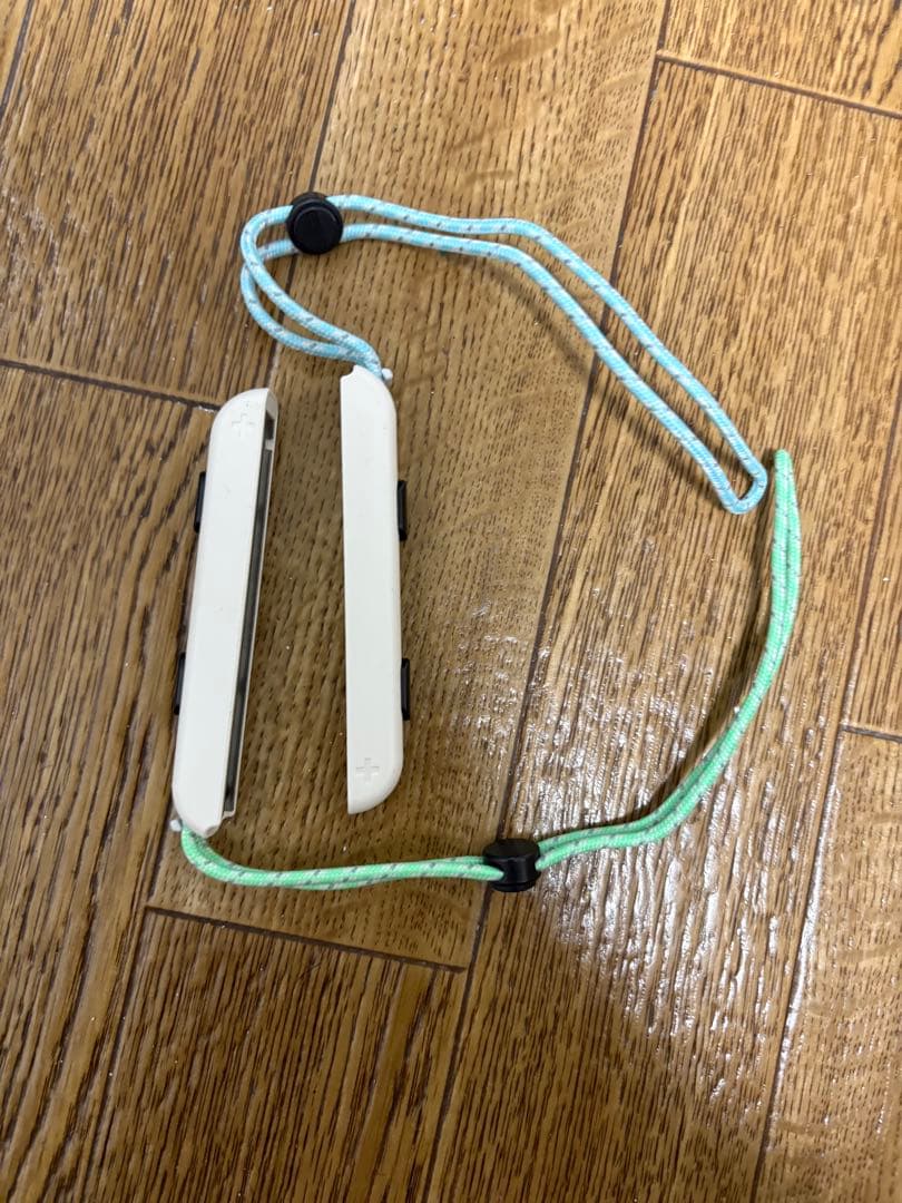 Nintendo Switch 本体　あつまれどうぶつの森