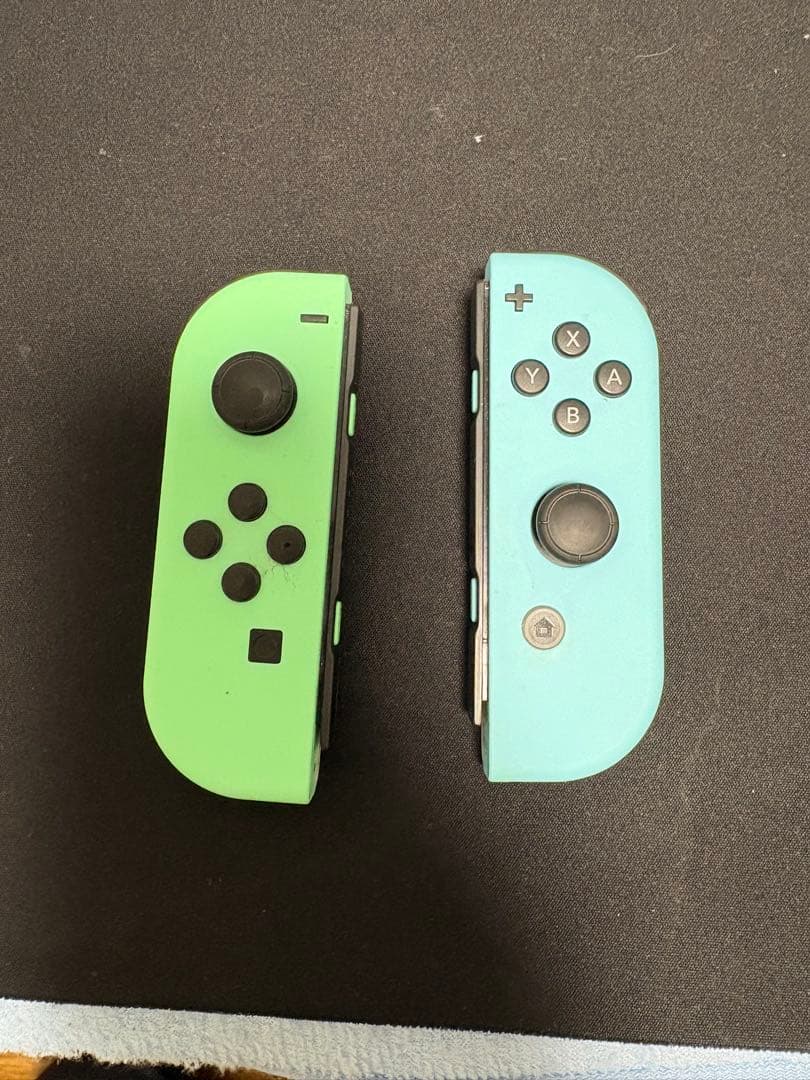 Nintendo Switch 本体　あつまれどうぶつの森