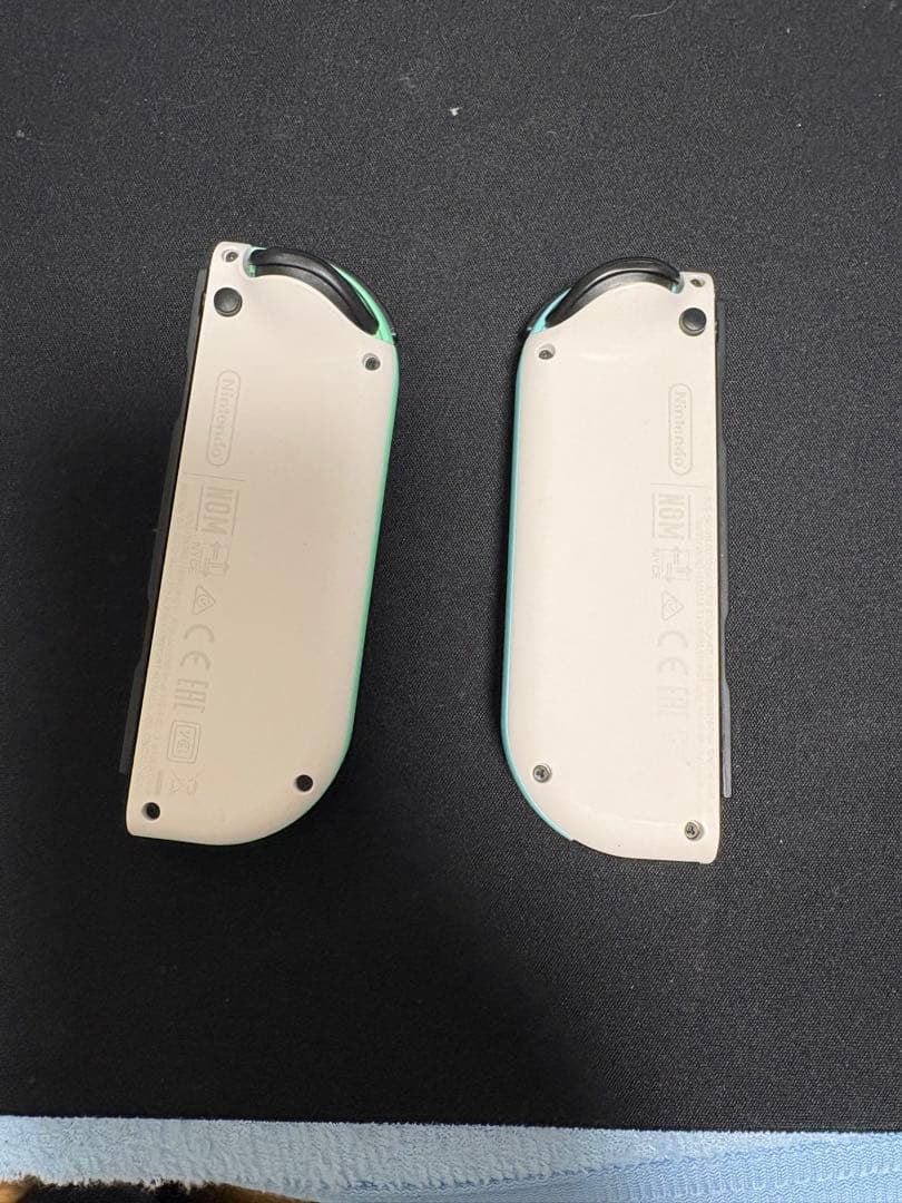 Nintendo Switch 本体　あつまれどうぶつの森