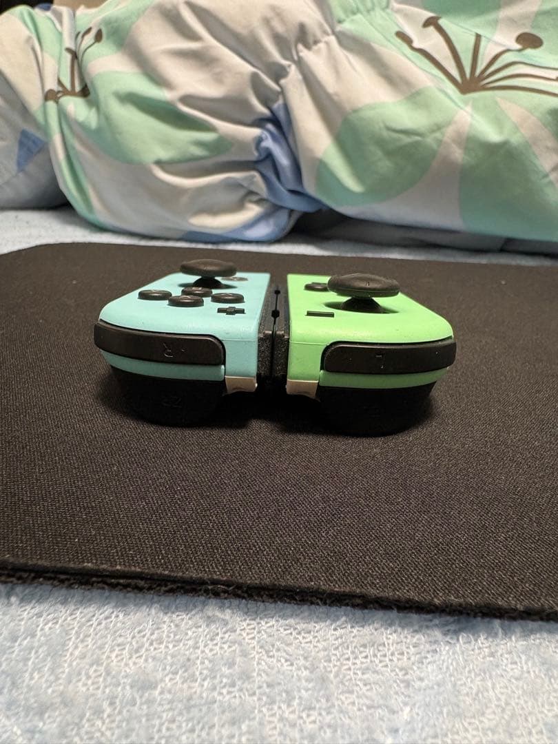 Nintendo Switch 本体　あつまれどうぶつの森