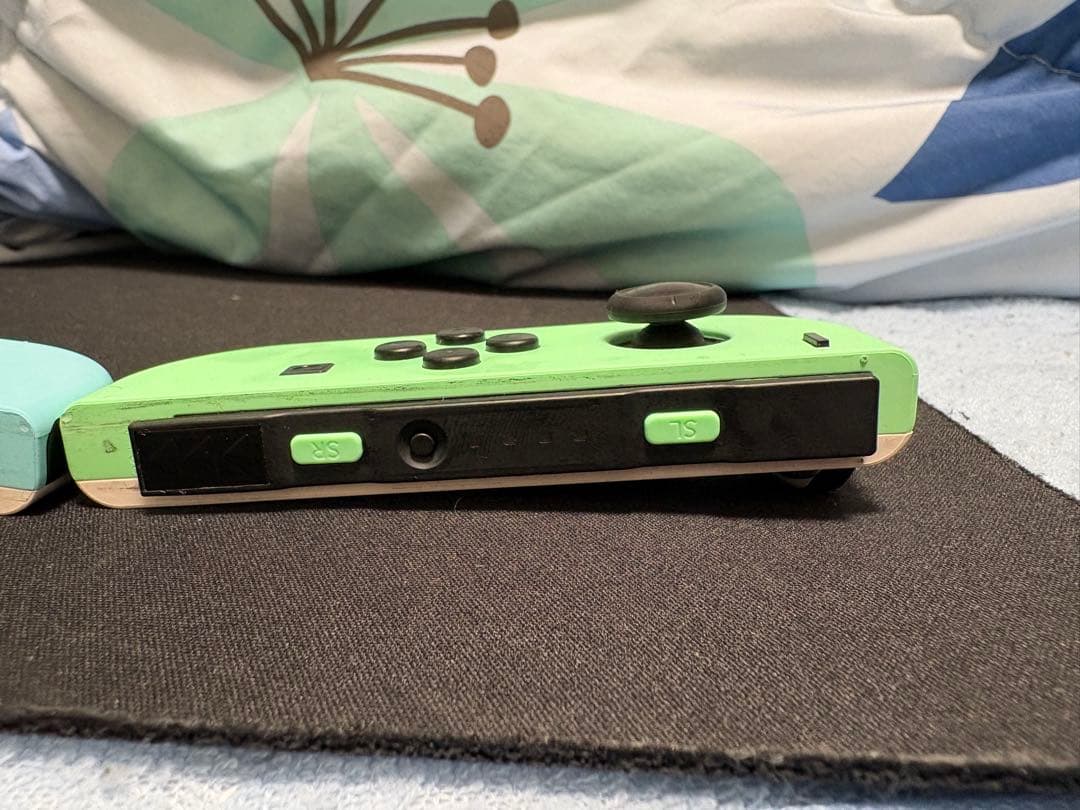 Nintendo Switch 本体　あつまれどうぶつの森