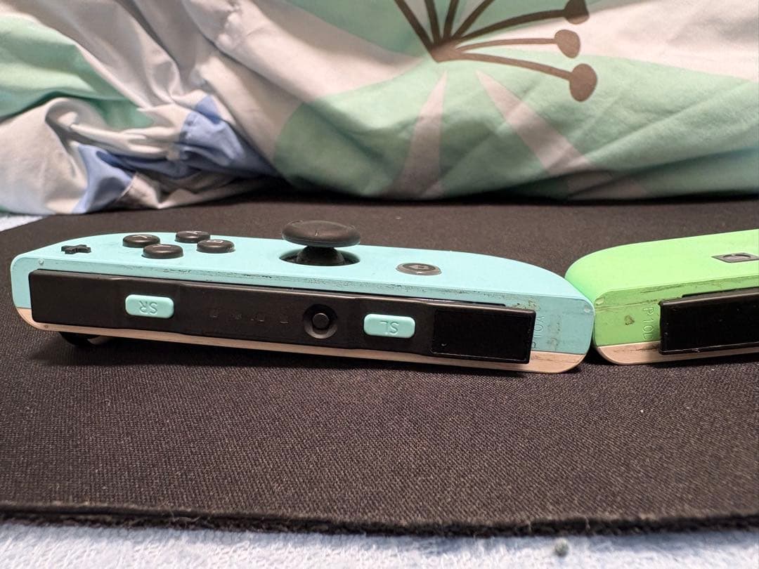 Nintendo Switch 本体　あつまれどうぶつの森