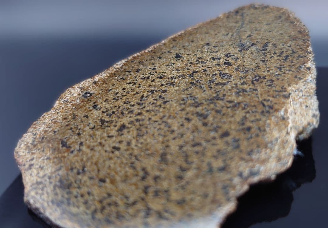 火星隕石　Mars Shergottite NWA 14714 ✨