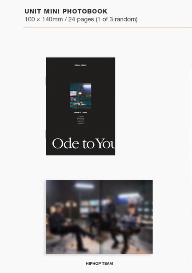 SEVENTEEN ODE TO YOU DVD ソウルコン オドコン セブチ