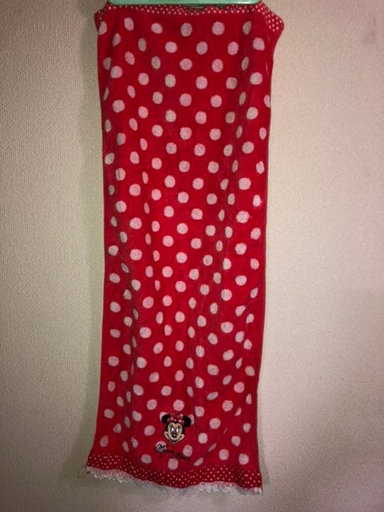 ディズニーリゾート　ミニービーチバス、フェイスタオルセット