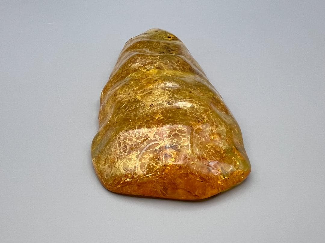 虫入り琥珀　多種多様な虫を内包した　バルティック　アンバー　バルト海沿岸地域産