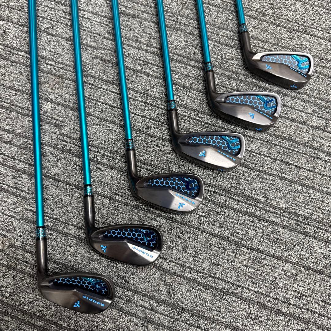 ロッディオ　アイアン　6本セット