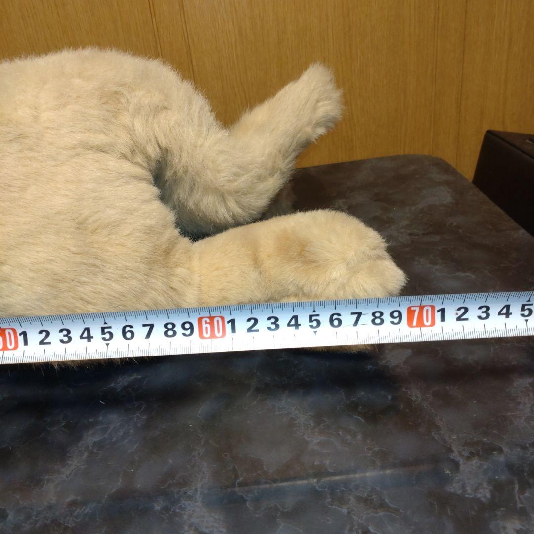 吉徳　ゴールデンレトリバー