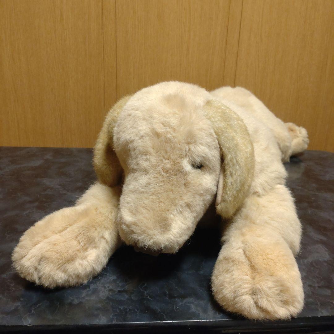 吉徳　ゴールデンレトリバー