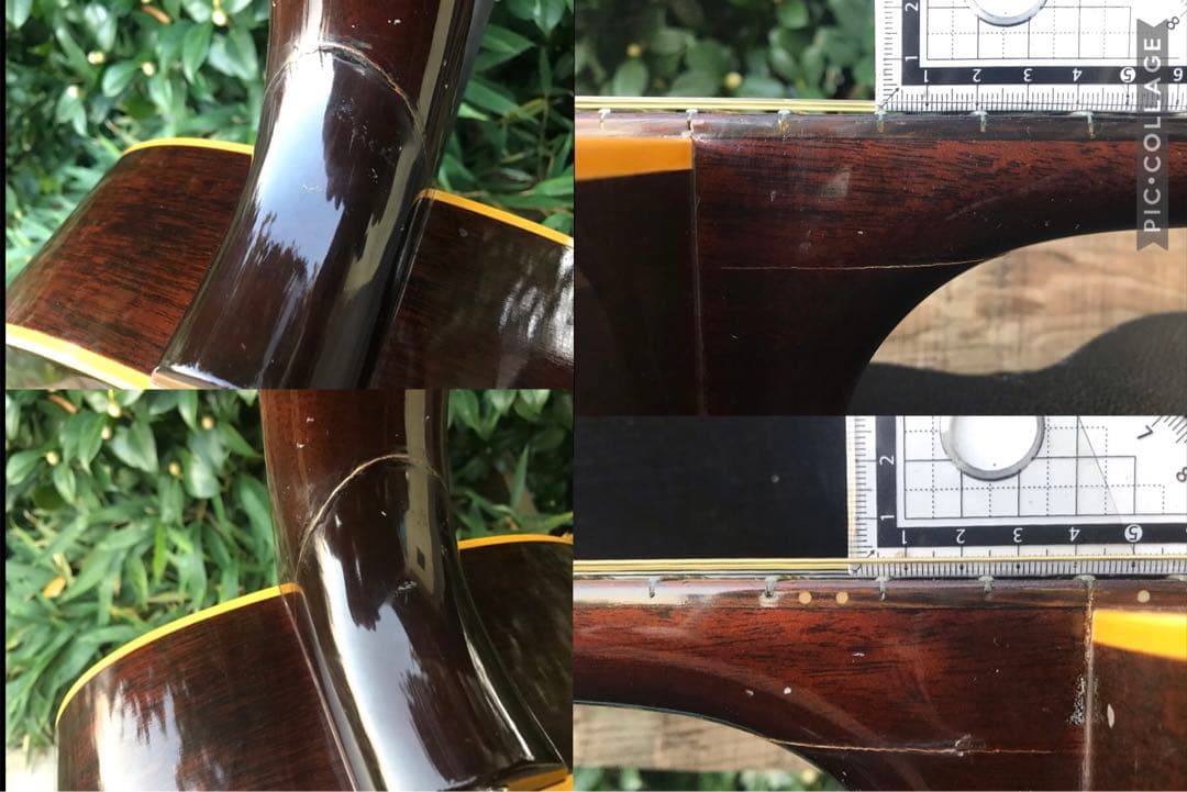 Burny BJ-65N バーニー フェルナンデス