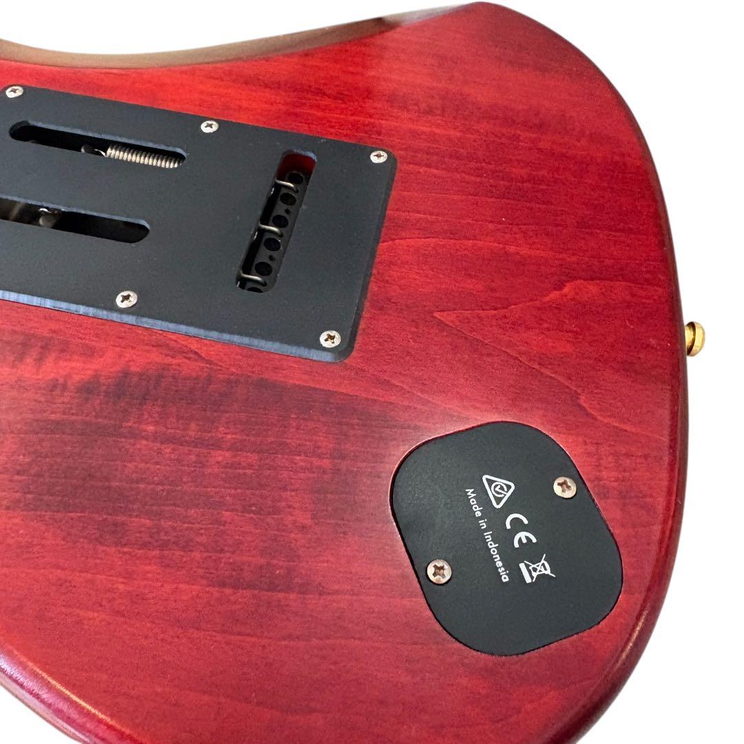 Ibanez SLM10 1P-01 AZシリーズ スコットモデル エレキギター