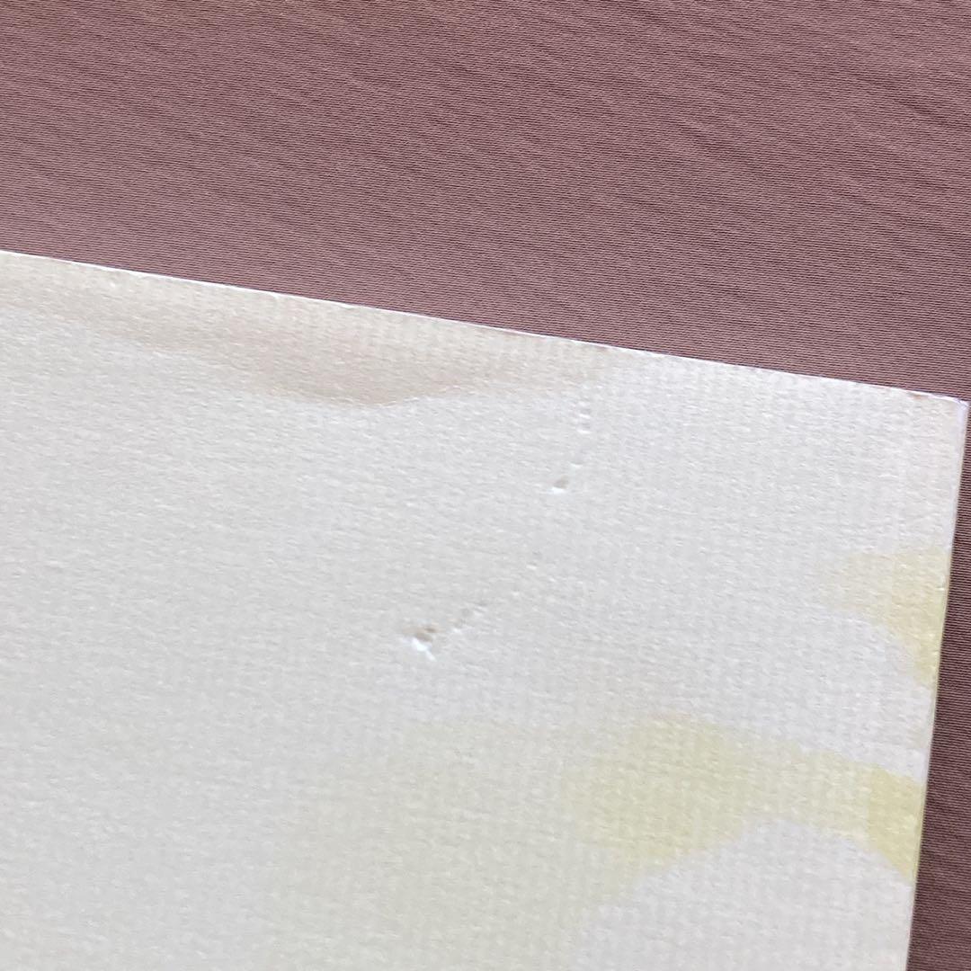 ゲーム 白詰草話 全原画集⭐大槍葦人⭐LITTLE WITCH