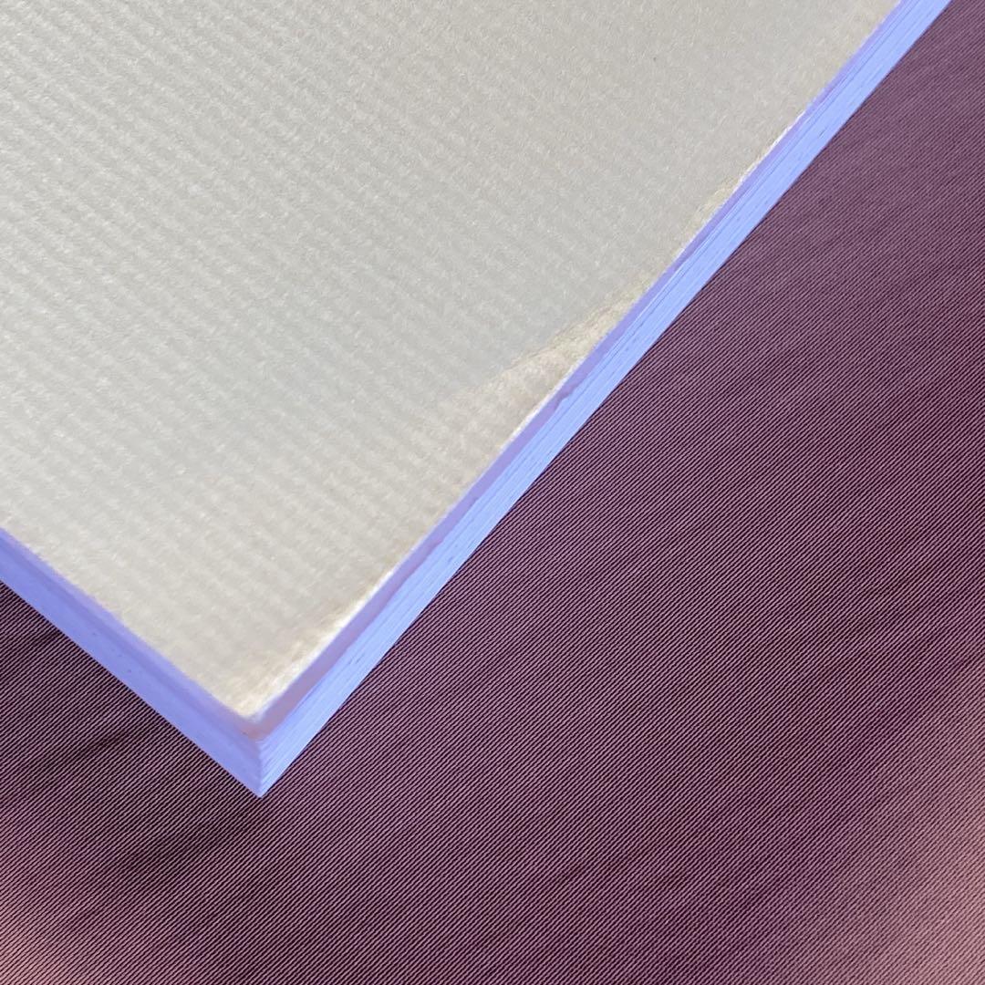 ゲーム 白詰草話 全原画集⭐大槍葦人⭐LITTLE WITCH