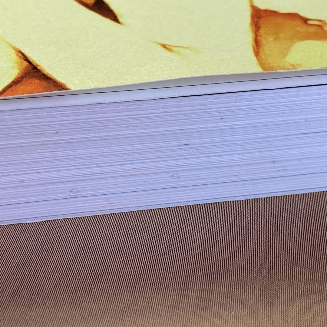 ゲーム 白詰草話 全原画集⭐大槍葦人⭐LITTLE WITCH