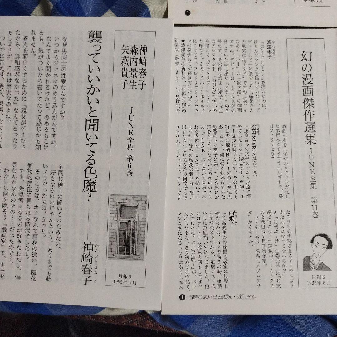 小説 June全集 全12巻 ＢＬ小説