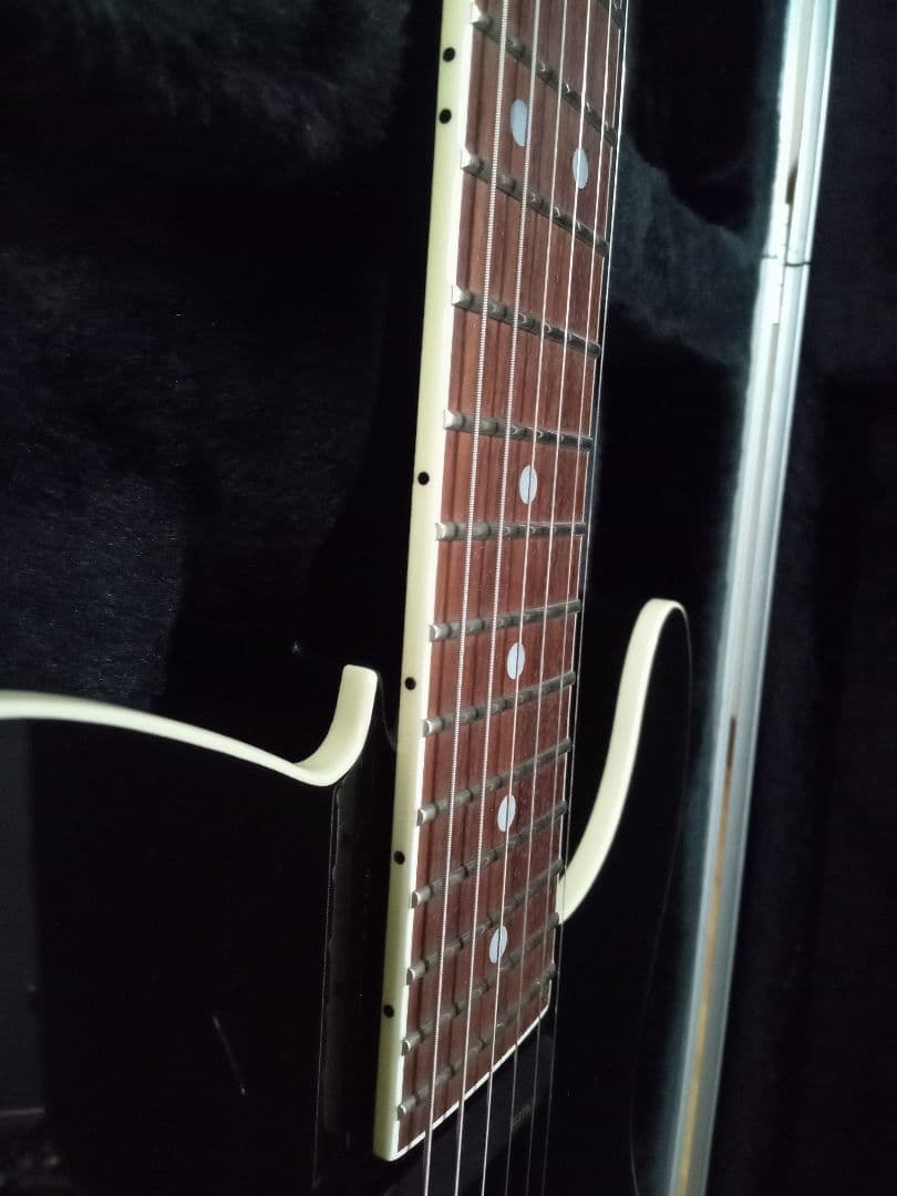 FERNANDES TEJ DELUXE 2S　純正ハードケース付き