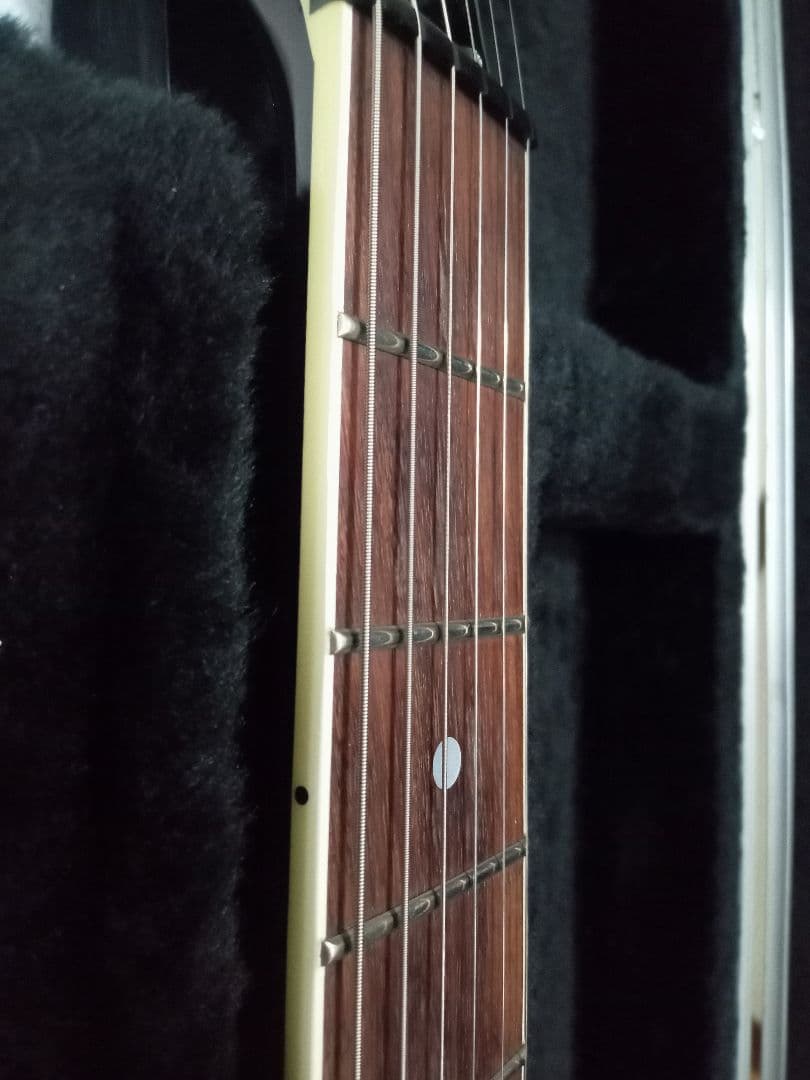 FERNANDES TEJ DELUXE 2S　純正ハードケース付き