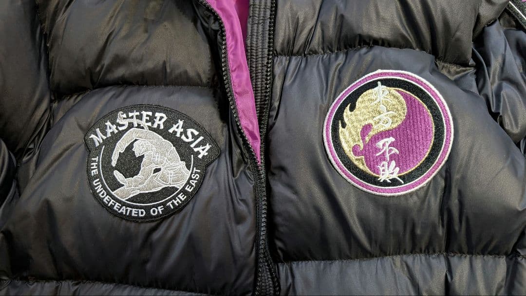 東方不敗マスターアジア ダウンジャケット STRICT-G 機動武闘伝Gガンダム