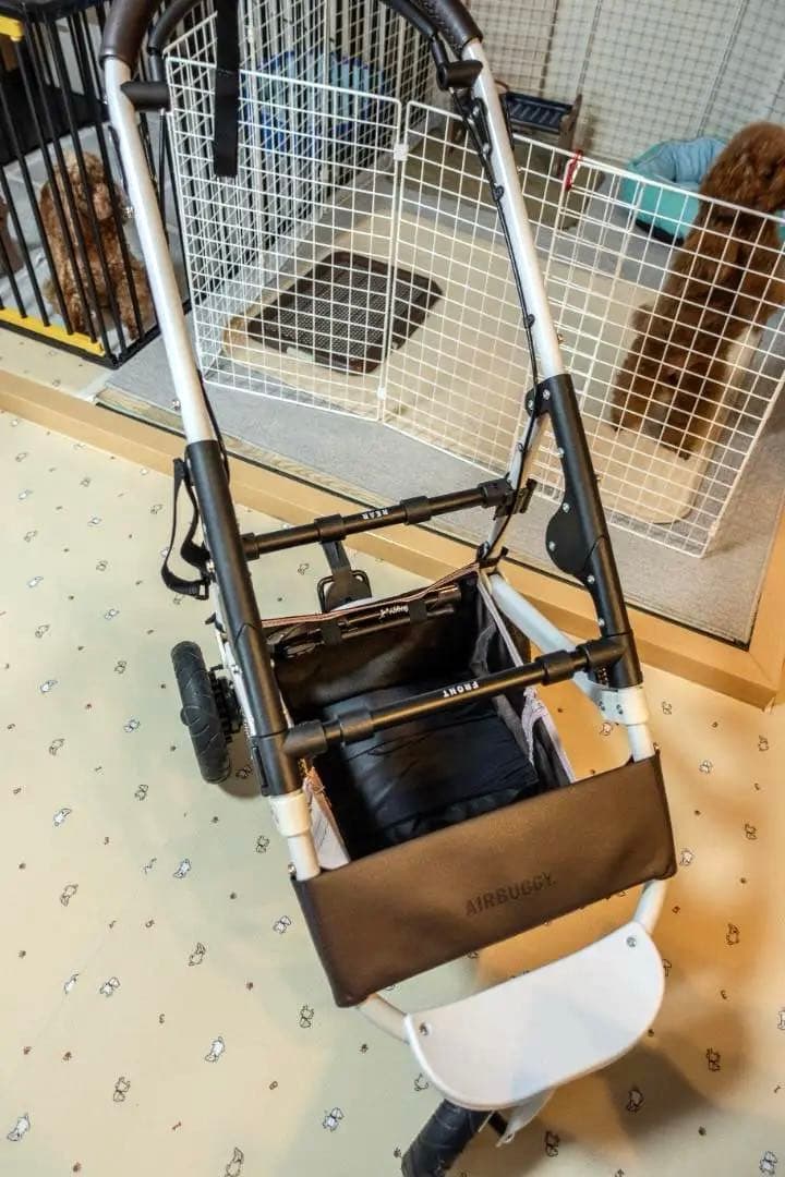 【付属品多数】AIRBUGGY DOME3 レギュラー【エアバギードーム3】