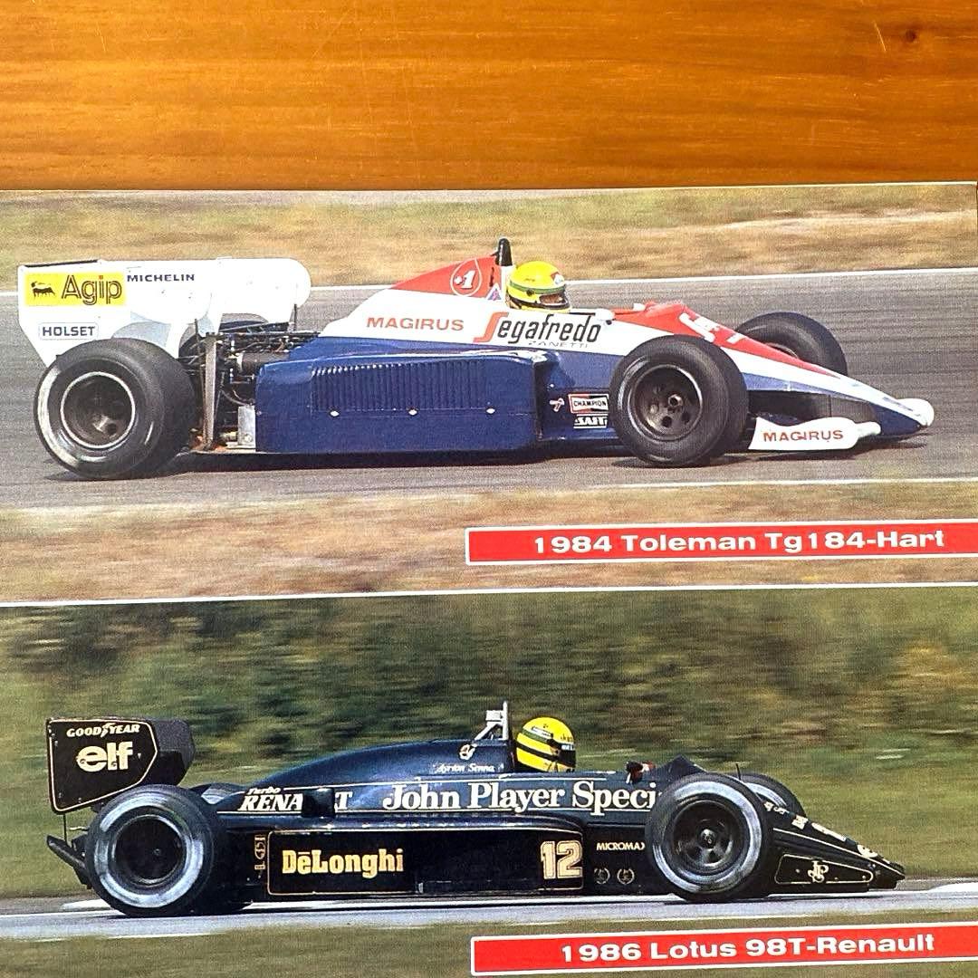 アイルトンセナ　トールマンTG184 フロントウィング実使用品　参考本付き