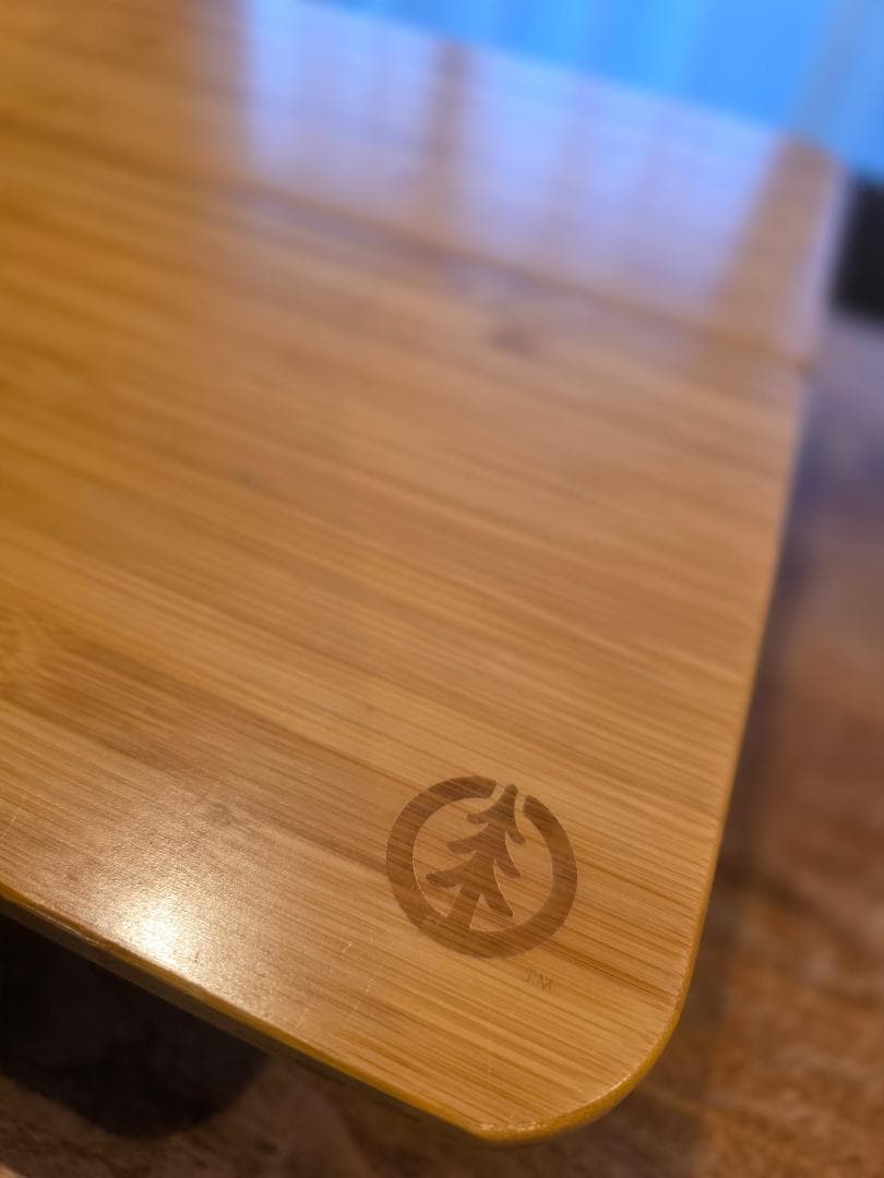 【希少・廃盤品】evrgrn (REI) Picnic Table 竹製天板