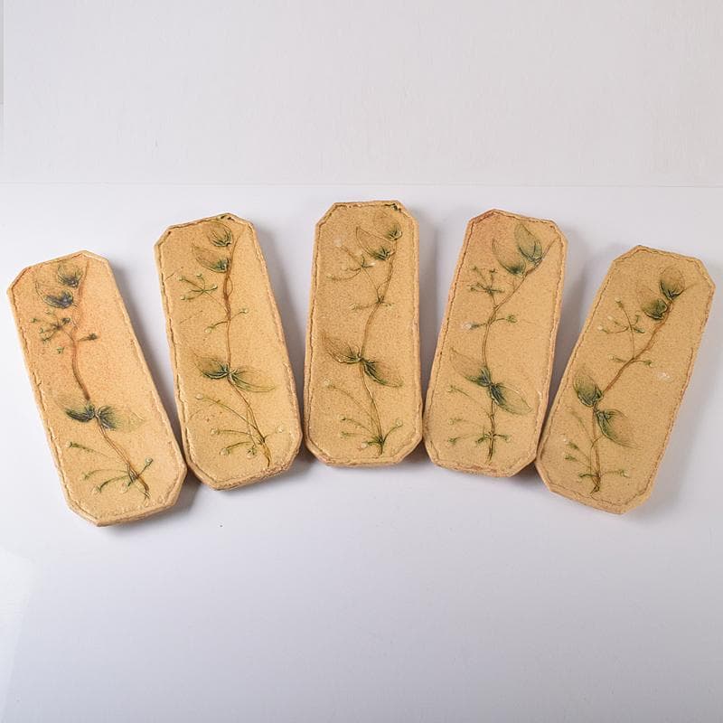 和食器　りんどう窯　小松幸代作　黄瀬戸　草文　長方皿　五客　共箱　D　R8175