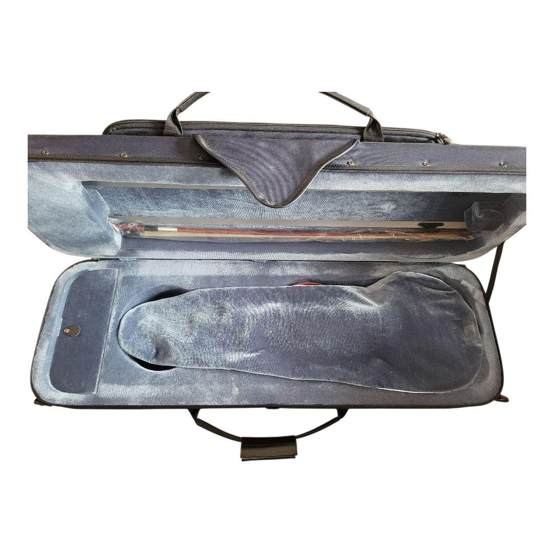 カルロジョルダーノ　ビオラ　ケース付き