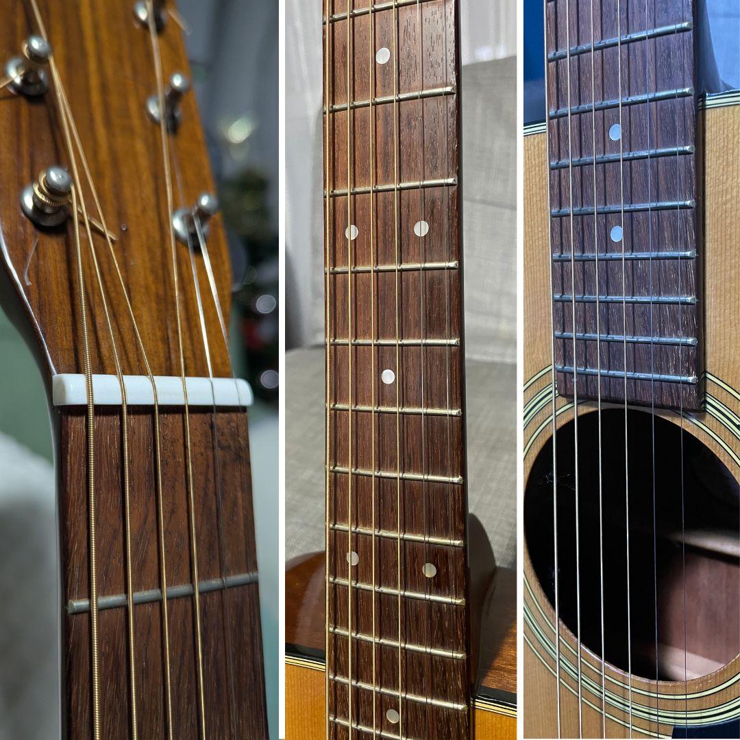 Morris MD~502 モーリス アコースティックギター