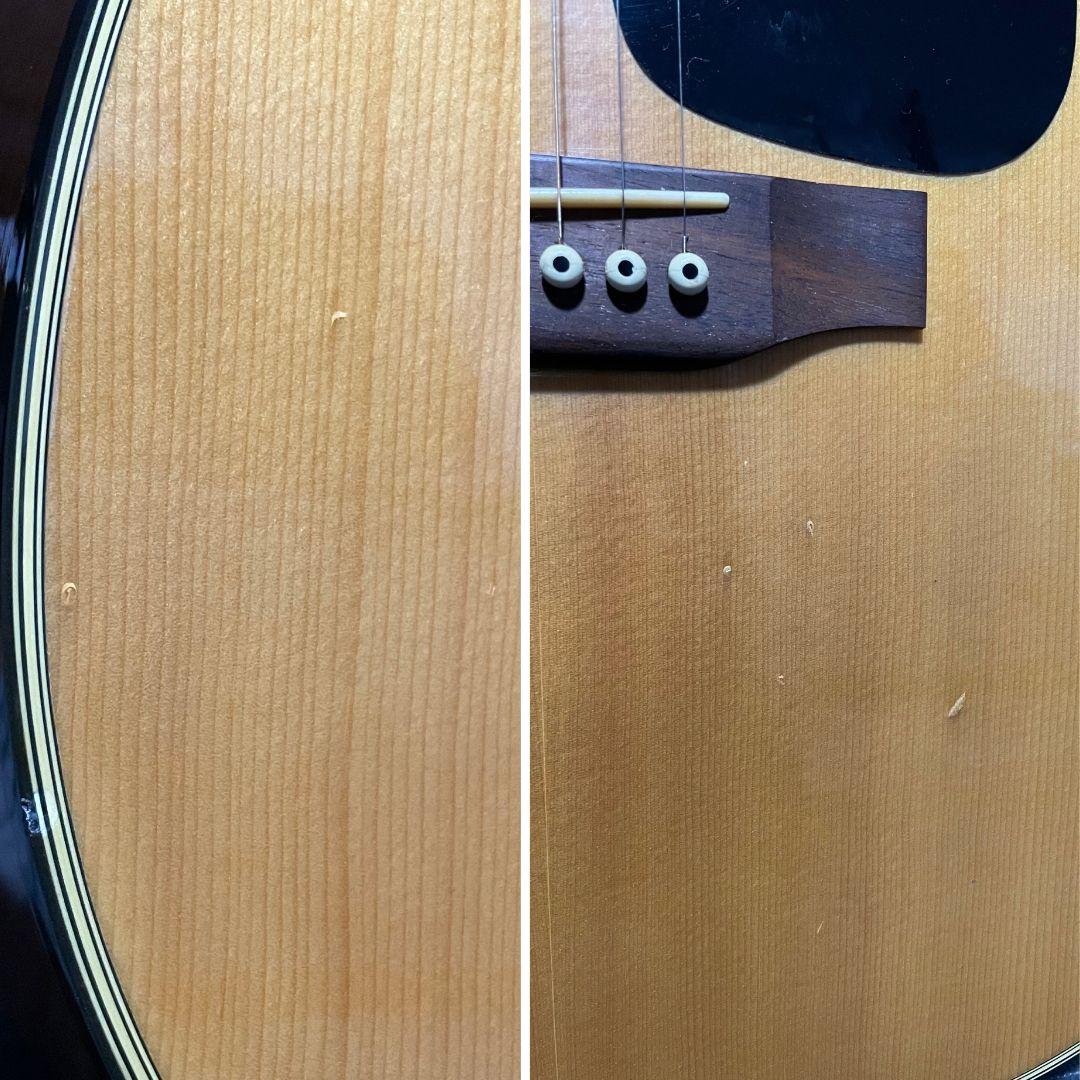 Morris MD~502 モーリス アコースティックギター