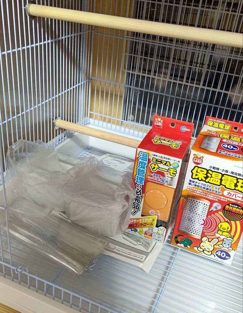 クオリス465 オカメインコ