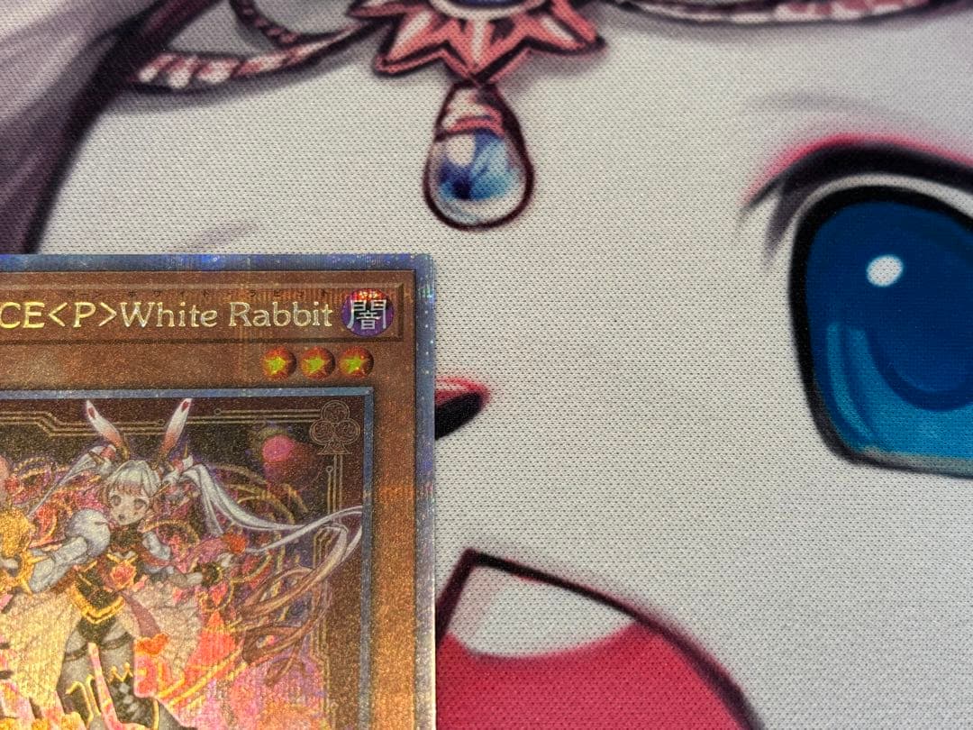 M∀LICE <P>White Rabbit 25th