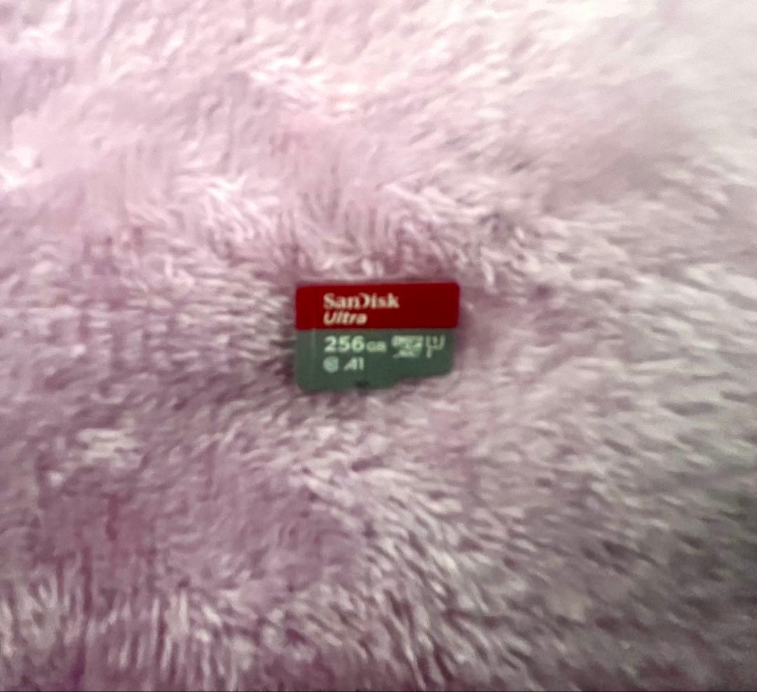 動作確認済 Nintendo Switch 本体セット SD256GB付