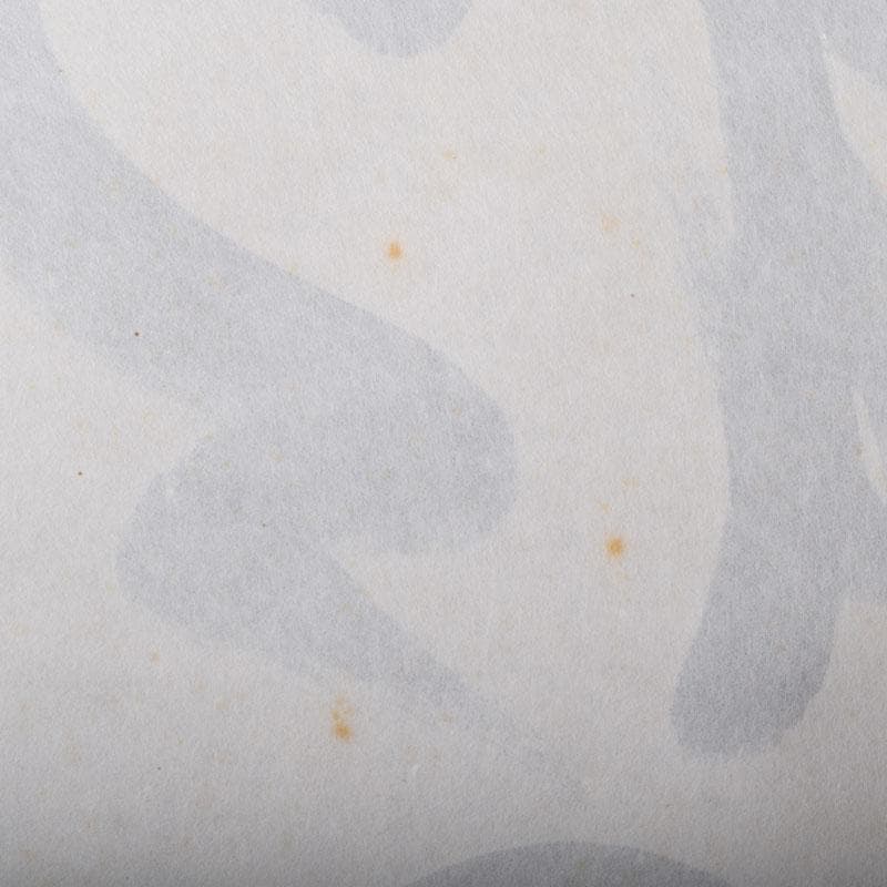 掛軸　紫野　孤篷庵　小堀卓厳筆　一行書　「松無古今色」　共箱　C　7520A