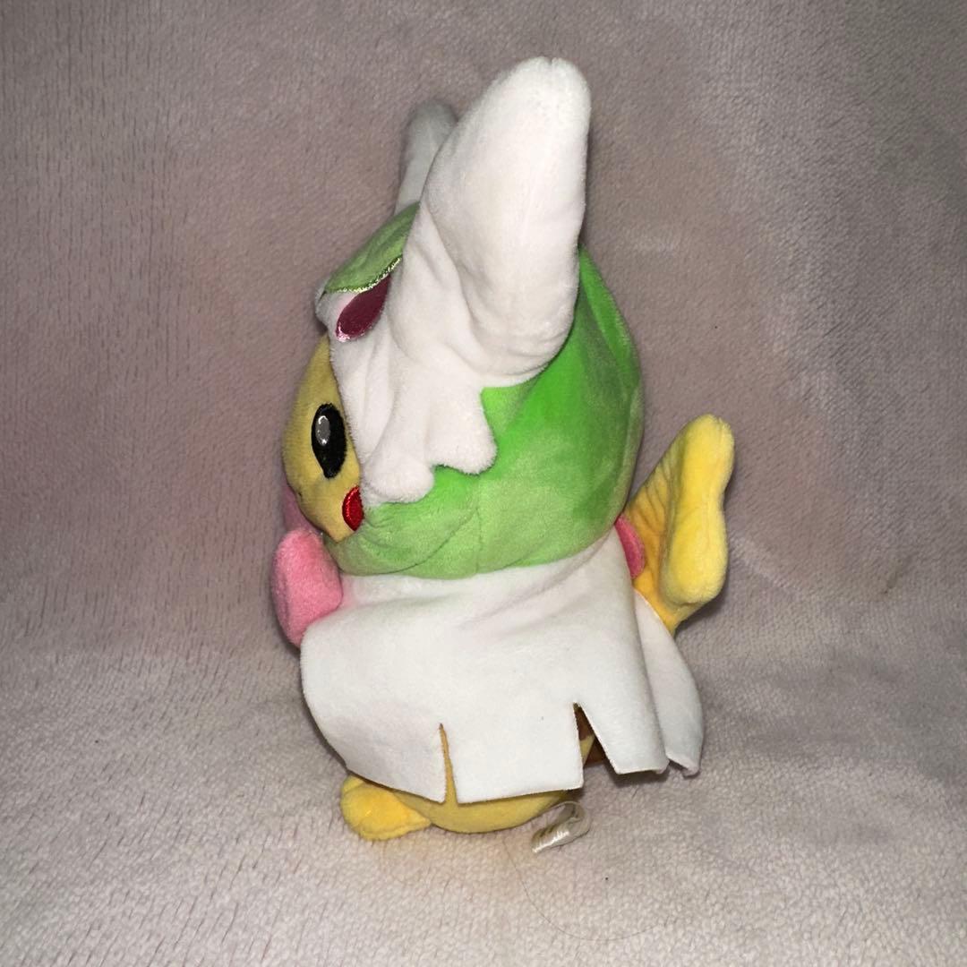 ポケモンセンター限定 メガサーナイトのポンチョを着たピカチュウ