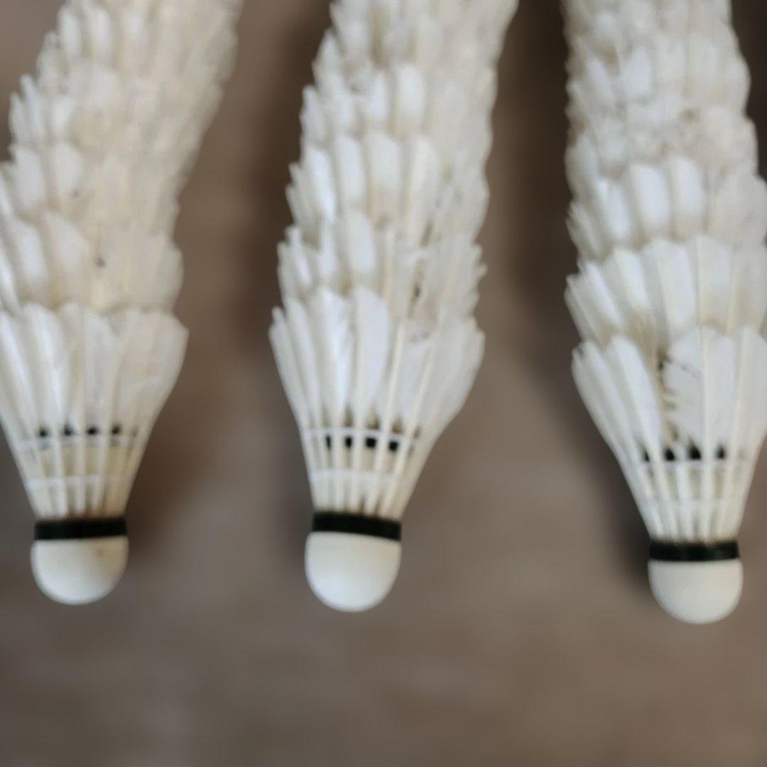 送料無料　yonex ノック用　シャトル　練習用　ヨネックス　基礎　400 5