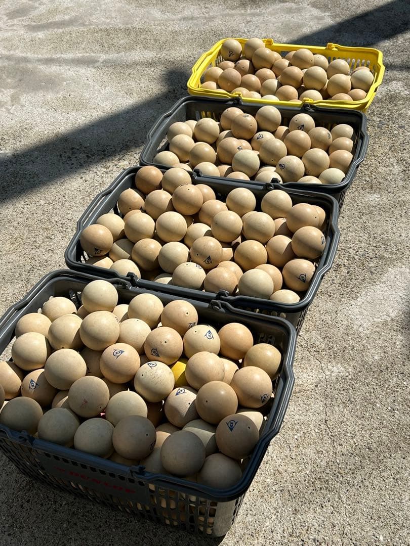 ソフトテニス練習ボール