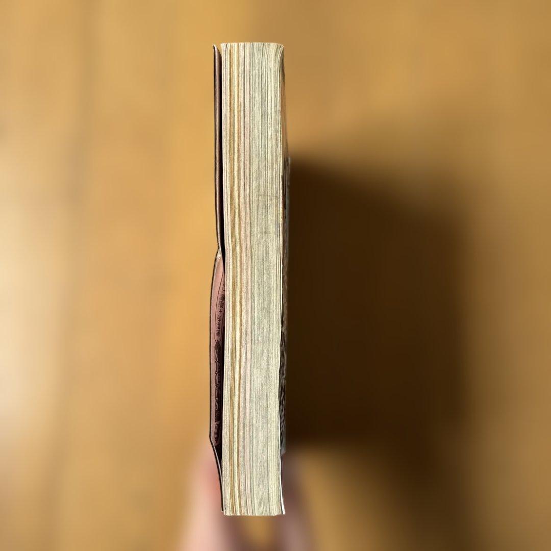 週刊少年ジャンプ 1998年21号 明稜帝梧桐勢十郎 表紙巻頭カラー