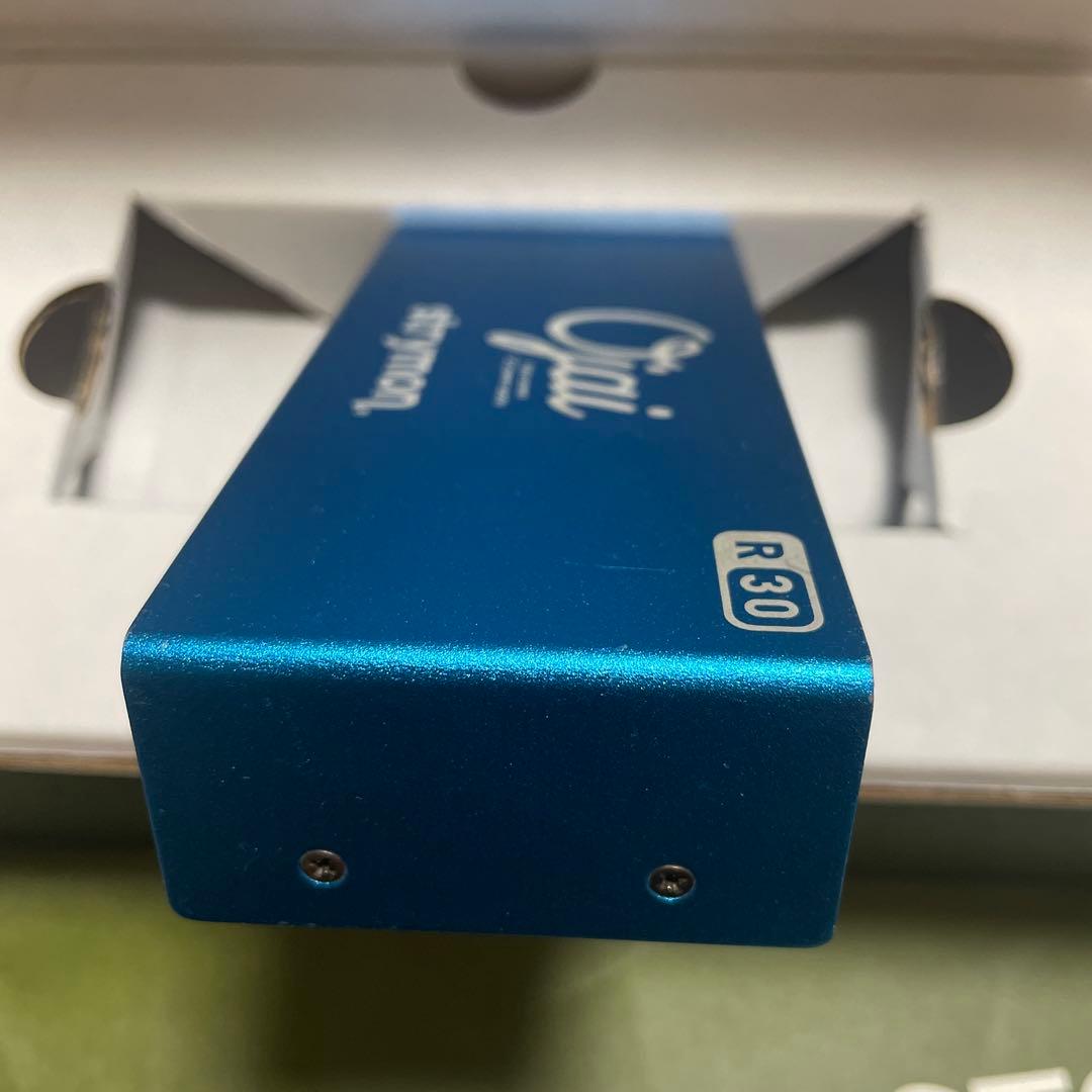 Strymon Ojai R30 パワーサプライ　EXPANSION