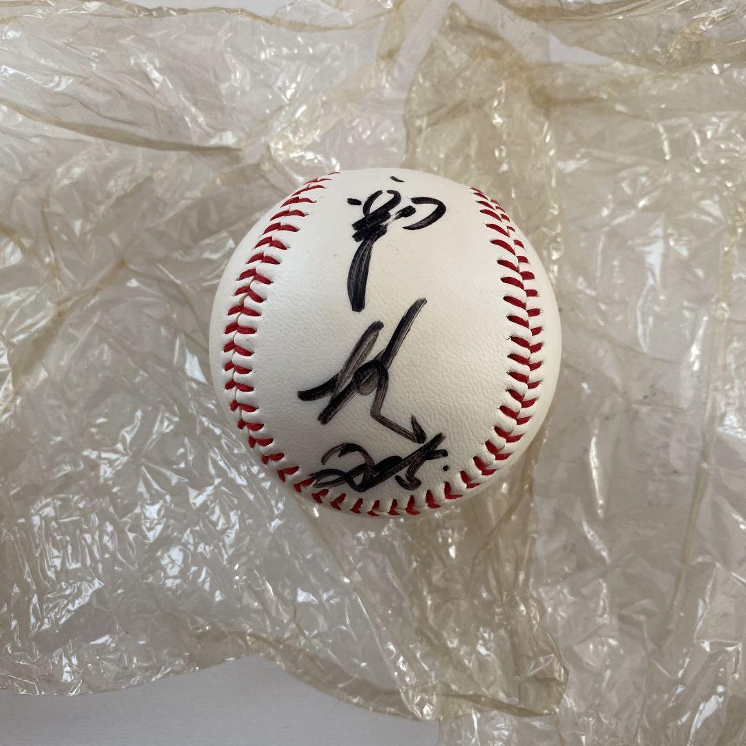 ドラゴンズ自筆サインボール　選手名はわかりませんが全部で１４サインです、