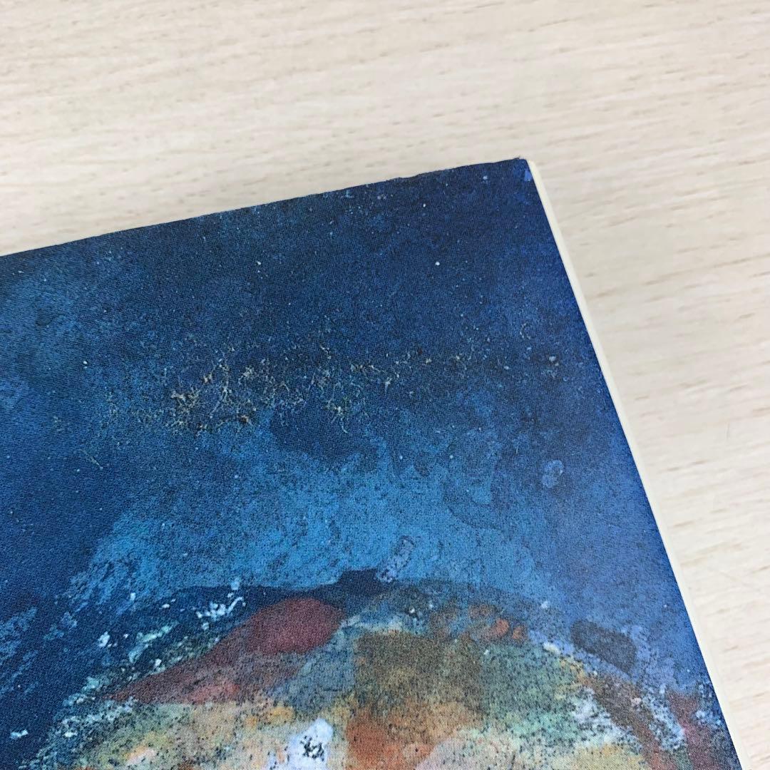 洋書 Cézanne's Watercolors 画集 作品集 水彩画