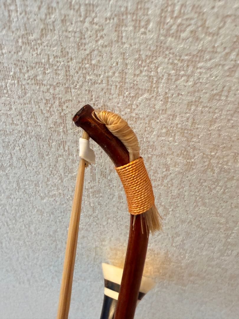 扱いやすい二胡 初級者から中級者向け　紅木　優しい音色