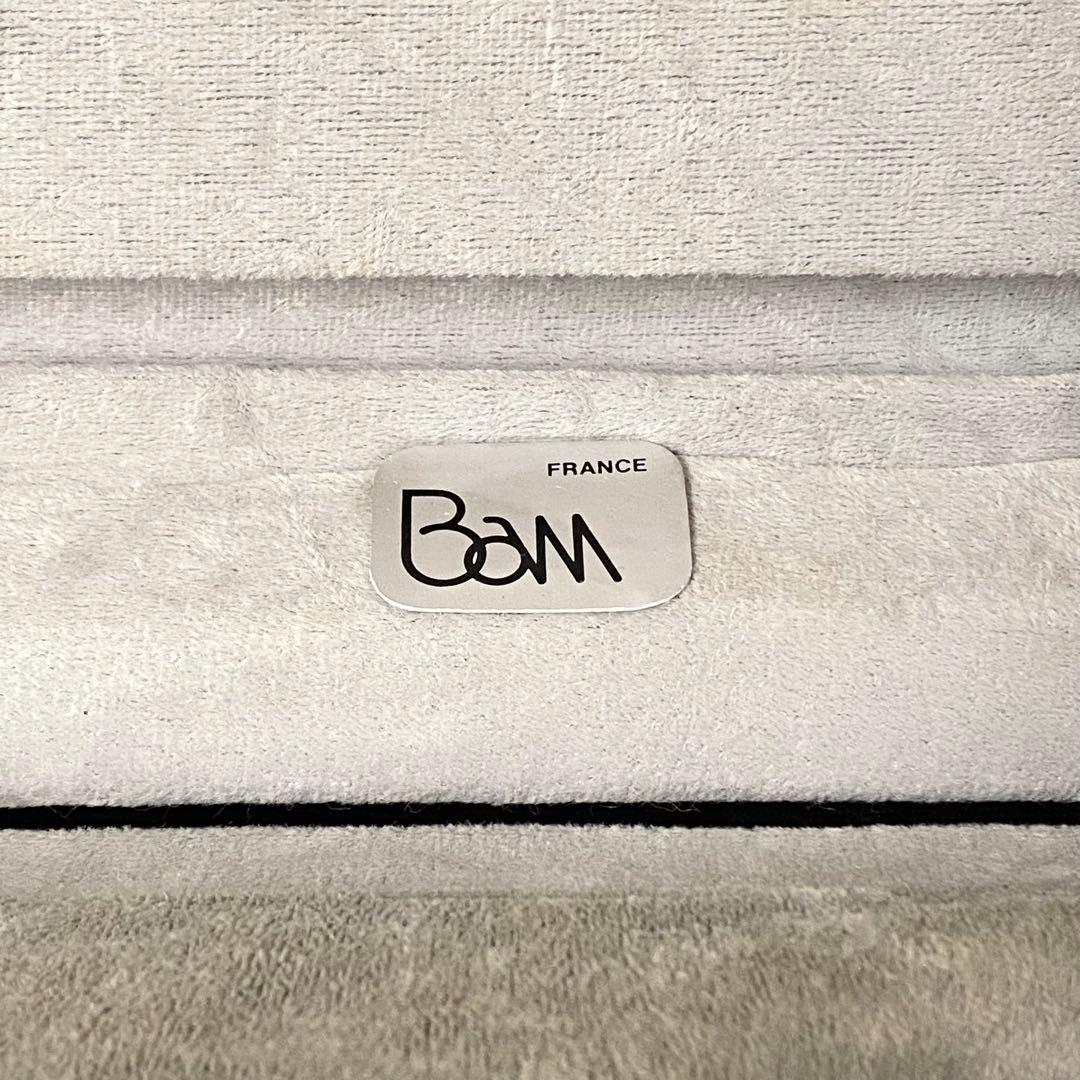 Bam バム バイオリンケース